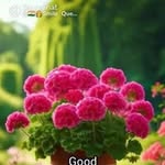 mdrafeek987