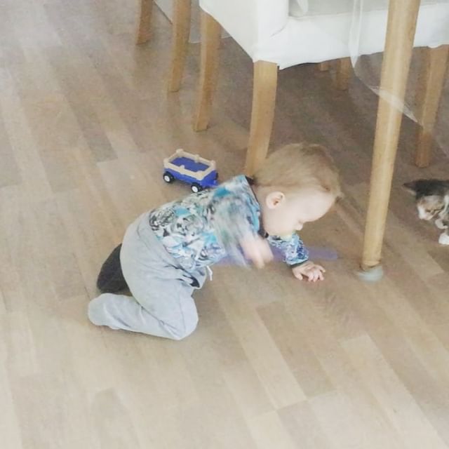 Magnus og My’s Missemagi 🐾😻