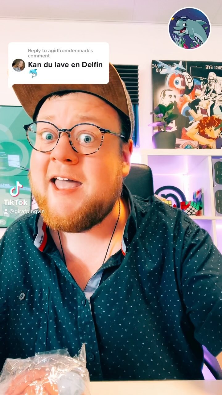 Delfin-Ballon Fjas 🎈🐬