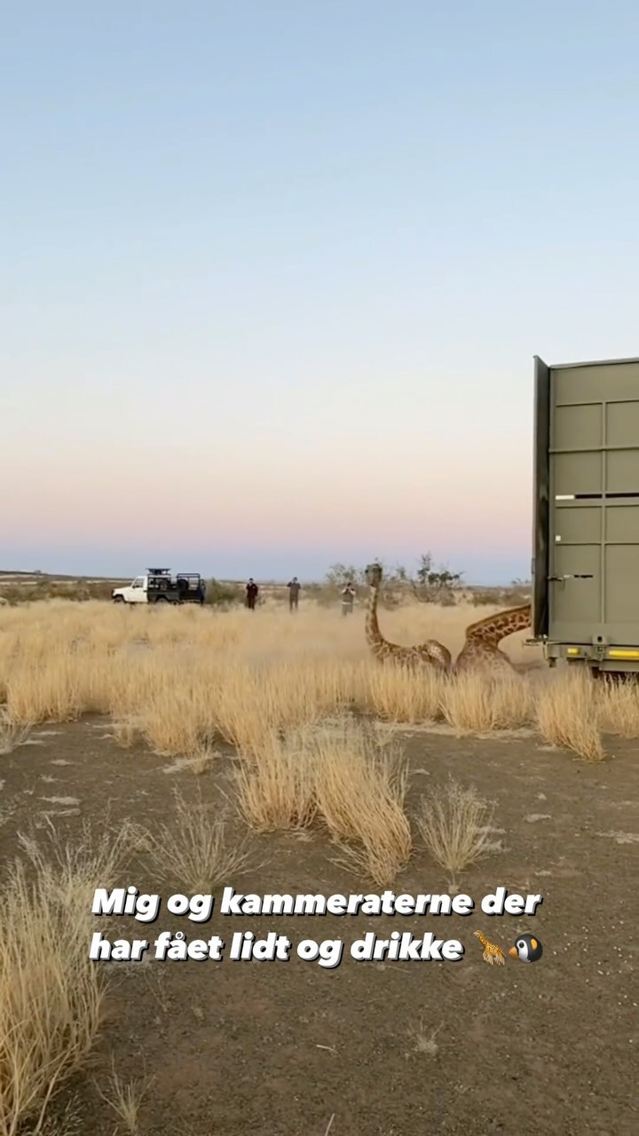 Videoen der taler højere 📹😍