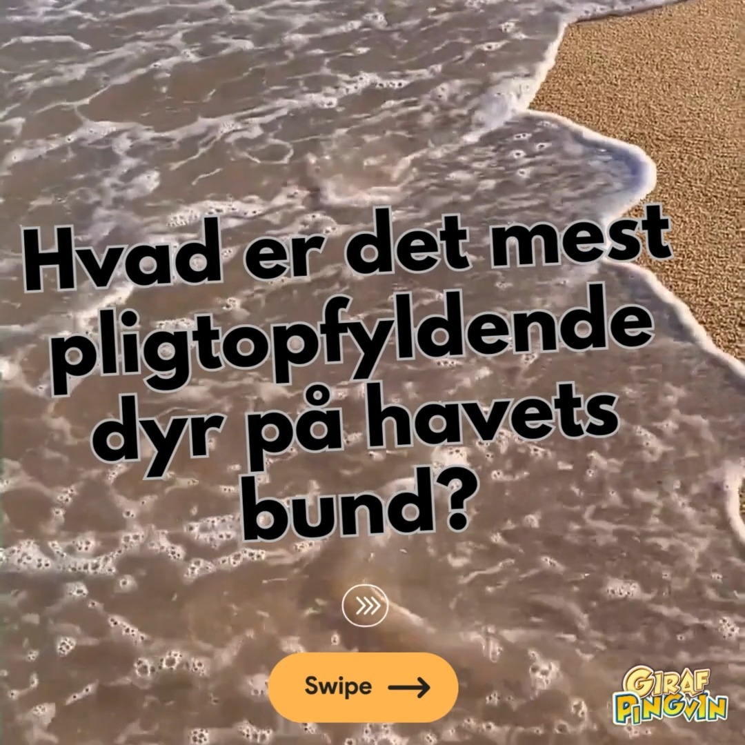 Havbunden's Pligtsomme Platfisk 🐟🦀
