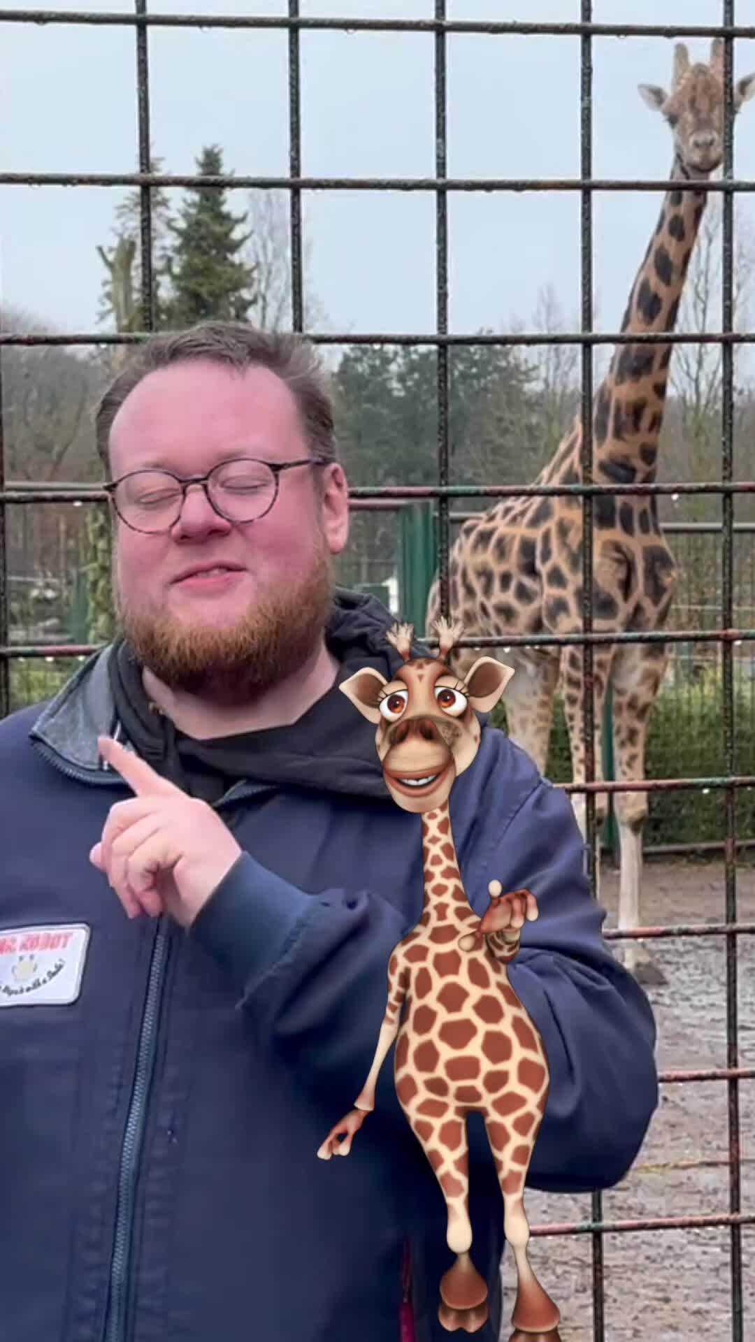 GirafPingvin Dilemma: Hvem Vinder? 🦒🐧