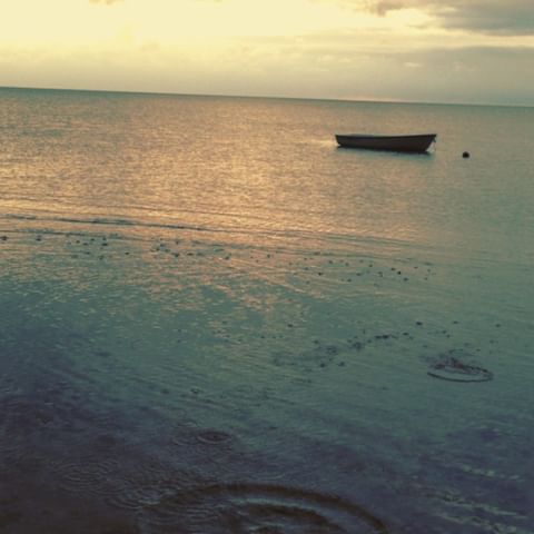 Solrig Sjov ved Vejlby Fed 🌞🩴