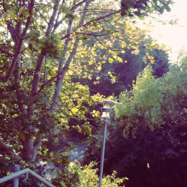 Efterårsglæde 🍂 #Loveit