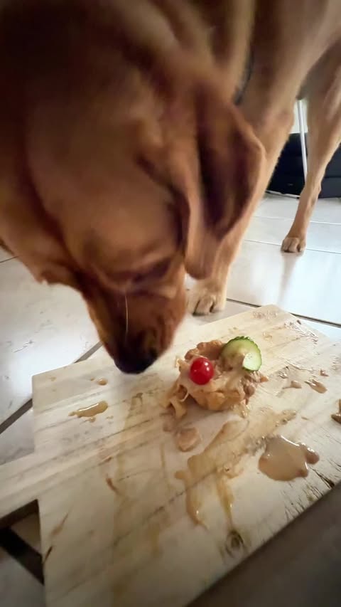 Tarteletter: Livets Lette Spisehistorie 🥳